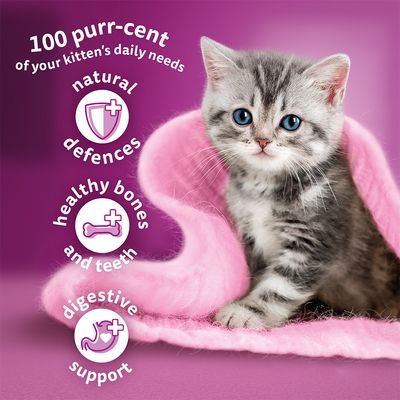 Whiskas Junior Chicken Cat - храна со пилешко месо за млади мачиња на возраст од 2-12 месеци, бремени мачки и мачки кои дојат