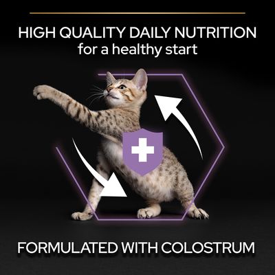Purina Pro Plan Original Healthy Start Chicken Kitten - храна со пилешко месо за млади мачиња на возраст од 1-12 месеци. Може да се користи за кастрирани мачиња, скотни мачки и мачки доилки