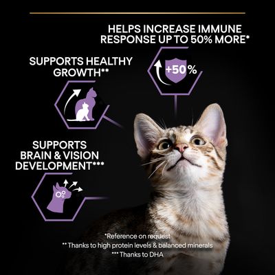 Purina Pro Plan Original Healthy Start Chicken Kitten - храна со пилешко месо за млади мачиња на возраст од 1-12 месеци. Може да се користи за кастрирани мачиња, скотни мачки и мачки доилки