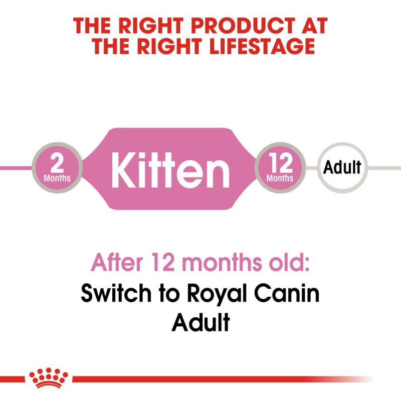Royal Canin Kitten in Gravy Pouch Cat - влажна храна во сос за млади мачиња/мачки на возраст до 12 месеци. Исто така е погодна и за бремени мачки