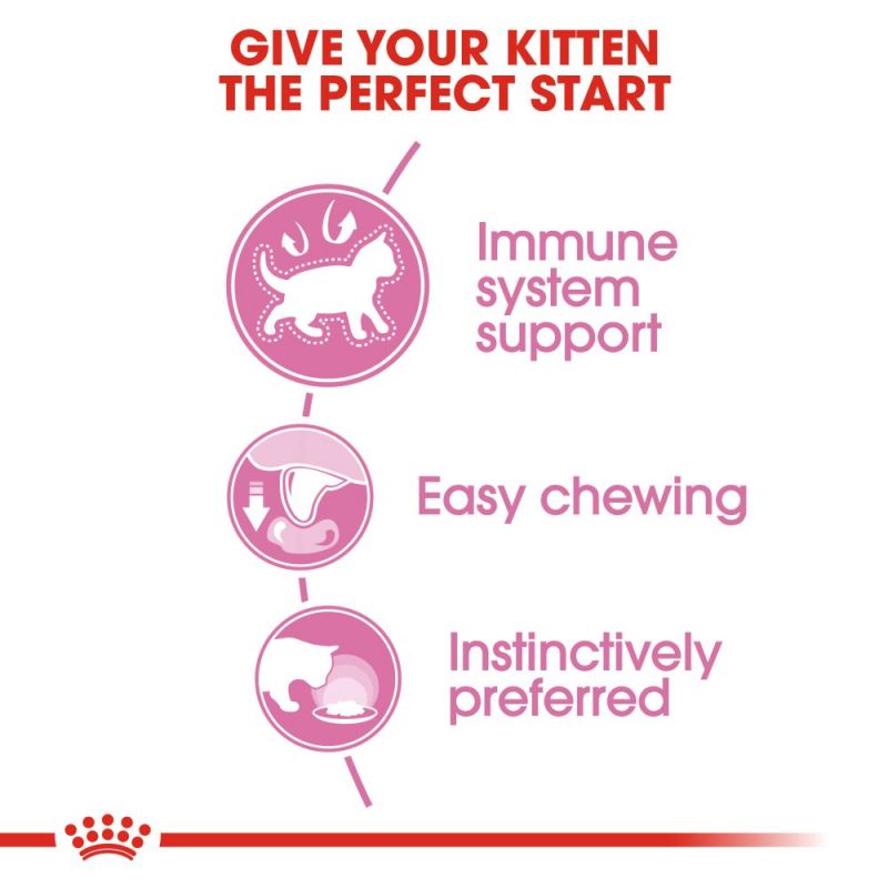 Royal Canin Kitten in Gravy Pouch Cat - влажна храна во сос за млади мачиња/мачки на возраст до 12 месеци. Исто така е погодна и за бремени мачки