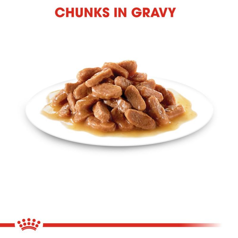 Royal Canin Kitten in Gravy Pouch Cat - влажна храна во сос за млади мачиња/мачки на возраст до 12 месеци. Исто така е погодна и за бремени мачки
